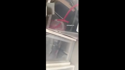 抖音超极品反差巨乳女神【温柔】最新大哥1V1视频虚拟做爱真的骚